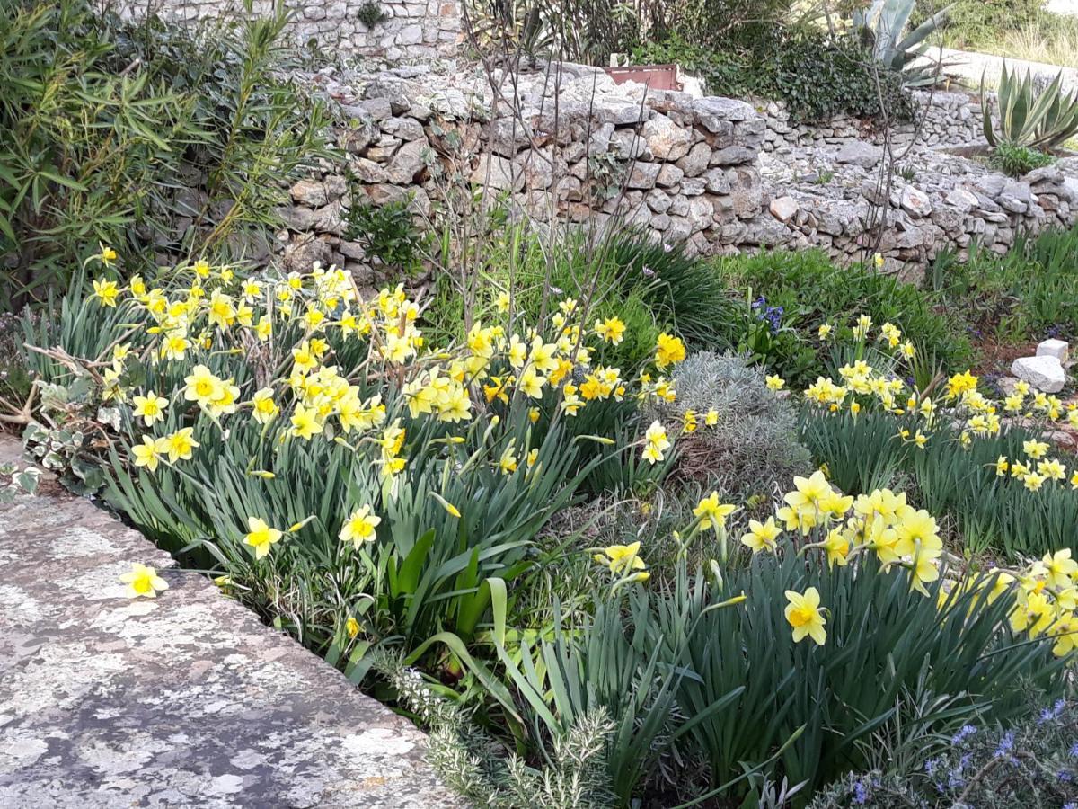 Holiday Home Villa Esperanca Veli Lošinj 外观 照片