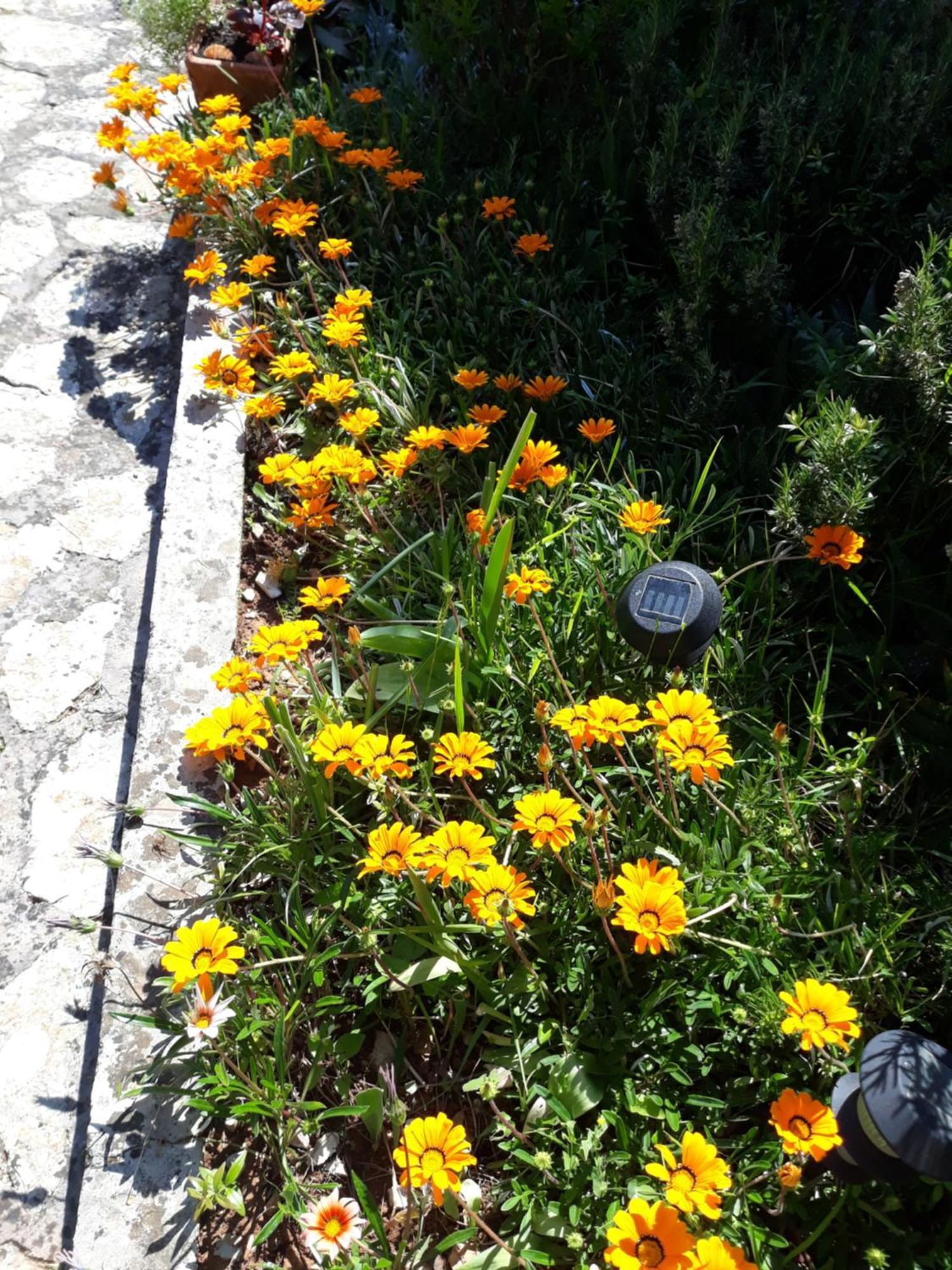 Holiday Home Villa Esperanca Veli Lošinj 外观 照片