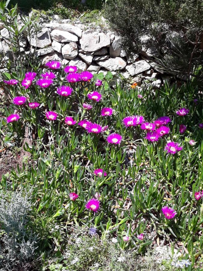 Holiday Home Villa Esperanca Veli Lošinj 外观 照片